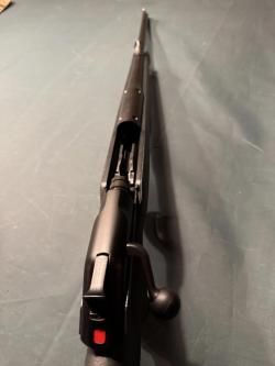 Blaser R8