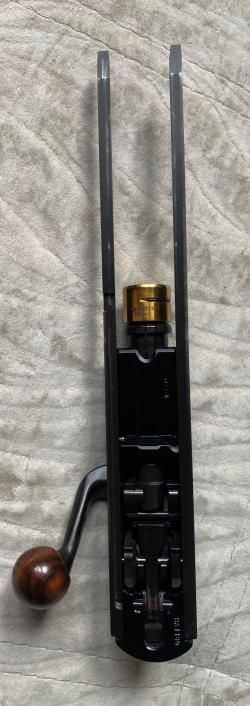 Blaser R8