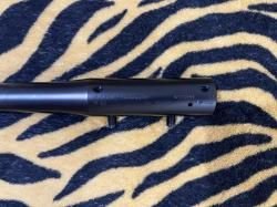 Blaser R93 30-06