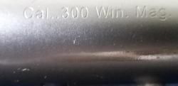 Blaser R93 Professional в 3 стволах