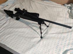 Blaser R93 Tactical 2