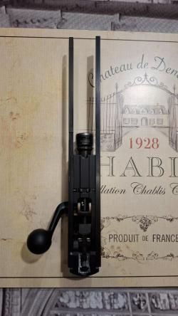 Blaser R93 VARMINT (2011)