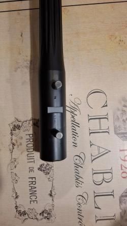 Blaser R93 VARMINT (2011)