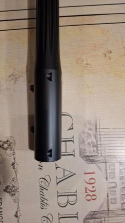 Blaser R93 VARMINT (2011)