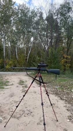Blaser r93