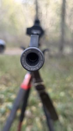 Blaser r93