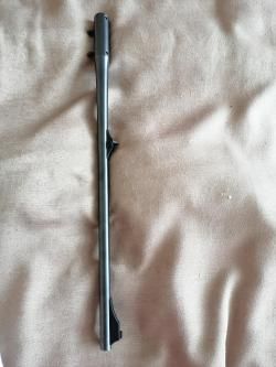 BLazer R93 (308Win +  .223 Rem.) 