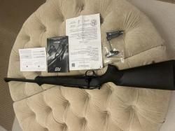 Блейзер R8 308win