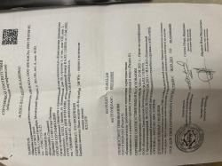 Блейзер R8 308win