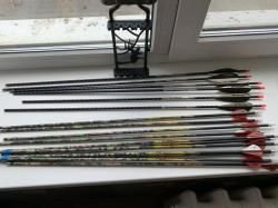 Блочный Лук Bear Archery "Anarchy",