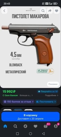 Borner pm 49 blowback