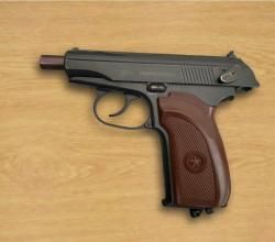 Borner PM49 Blowback