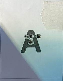 Browning Acera 300 win mag 