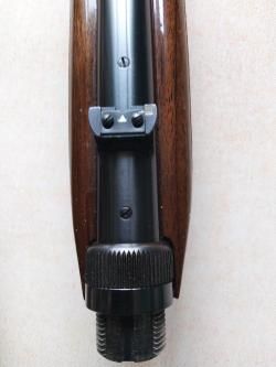 Browning auto 22lr