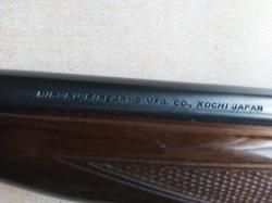 Browning auto 22lr