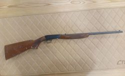 Browning Auto-22R к.22LR № 10428MZ212