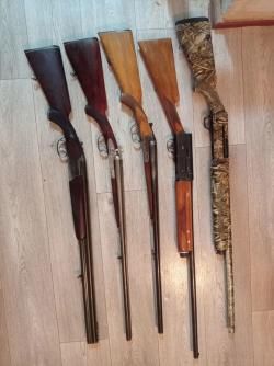 Browning auto 5