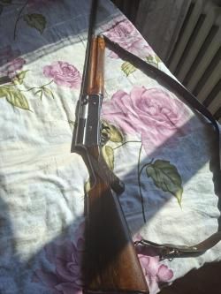 Browning Auto 5