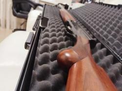 Browning auto-5