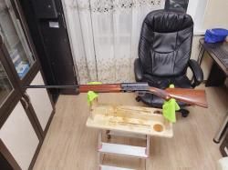 Browning auto-5