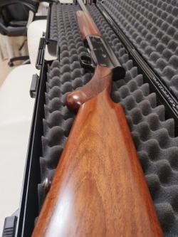 Browning auto-5