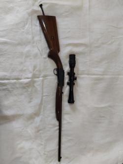 Browning Auto SA 22