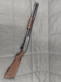 Browning BPS home protection