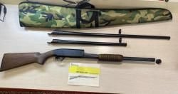 Browning BPS “Home protection”