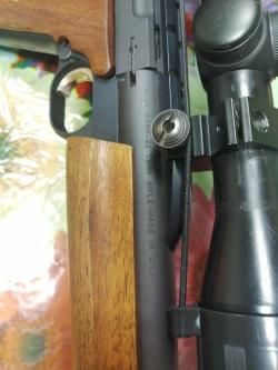 Browning Buck Mark 22lr 