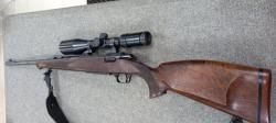 Browning eurobolt 300 win mag