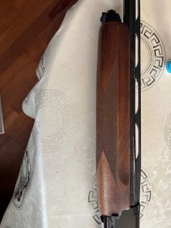 Browning Gold Fusion
