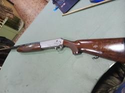 Browning Phoenix