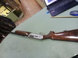 Browning Phoenix
