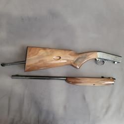 Browning Semi - Auto, 22 LR