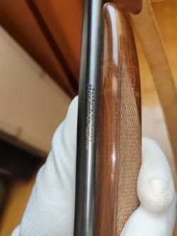 Browning semi-auto 22 LR