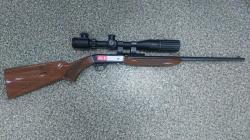 Browning Semi-Auto. 22LR