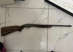 Browning semi auto 22lr