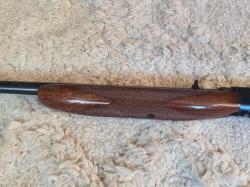 Browning SemiAuto 22 