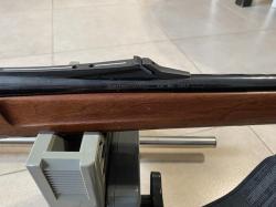 Browning sort track 308win