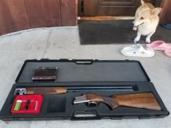 Browning Special GTS