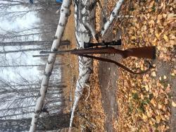Browning x- bolt 243 win.
