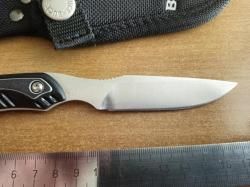 BUCK Open Season Caper (0542BKS-B)