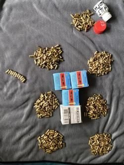 бульдог курс 