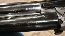 Caesar Guerini Tempio Light