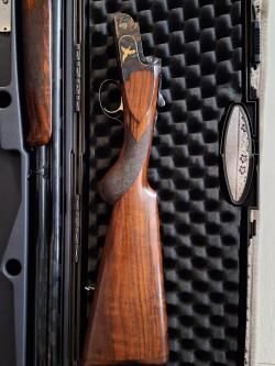 Цезарь Гаурини Темпо