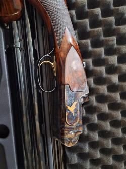 Цезарь Гаурини Темпо