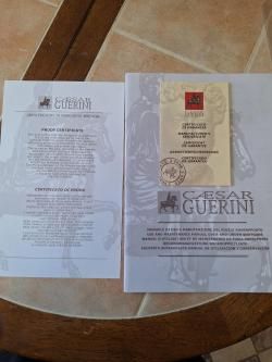 Цезарь Гаурини Темпо