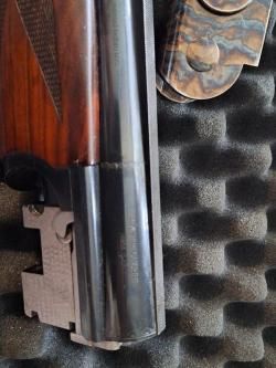 Цезарь Гаурини Темпо