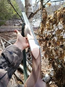 Чезет маллард