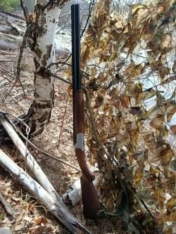 Чезет маллард